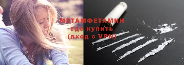 гидра Зуевка