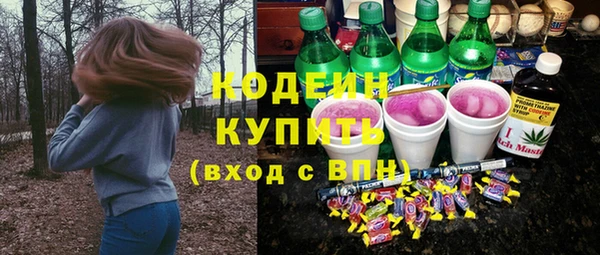 стафф Новозыбков