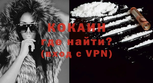 твердый Ивангород