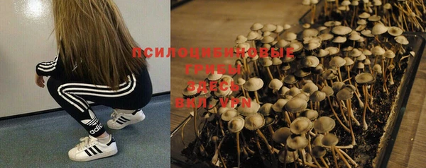 амф Нефтегорск
