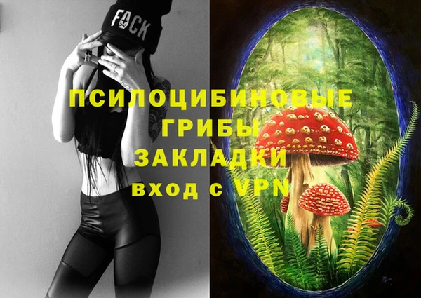 стаф Ивантеевка
