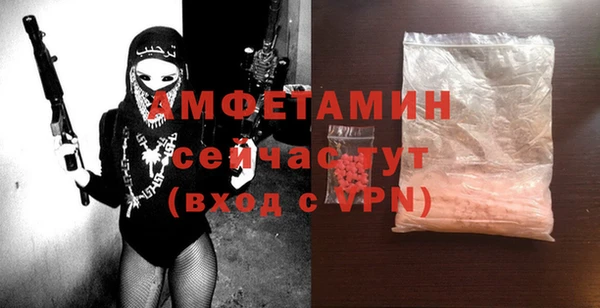 твердый Ивангород