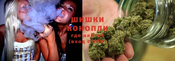 твердый Ивангород